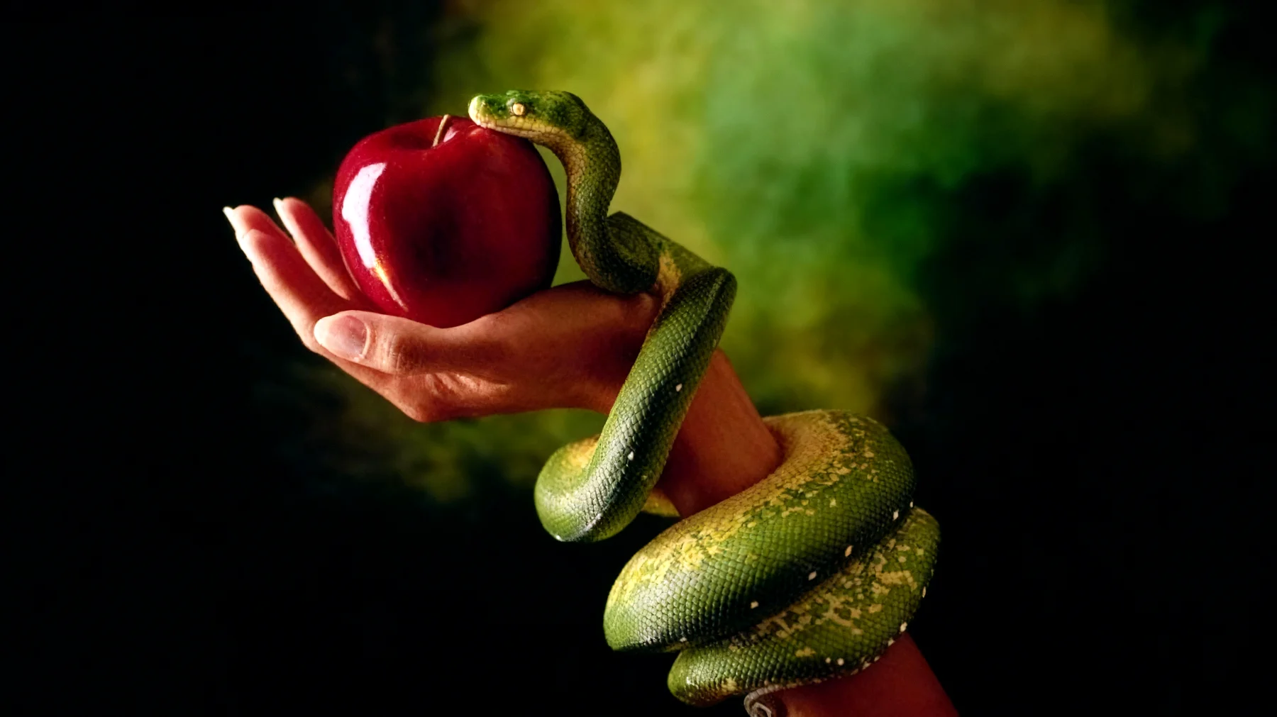 Forbidden Fruit2025-12-19T10:44:20.839Z"