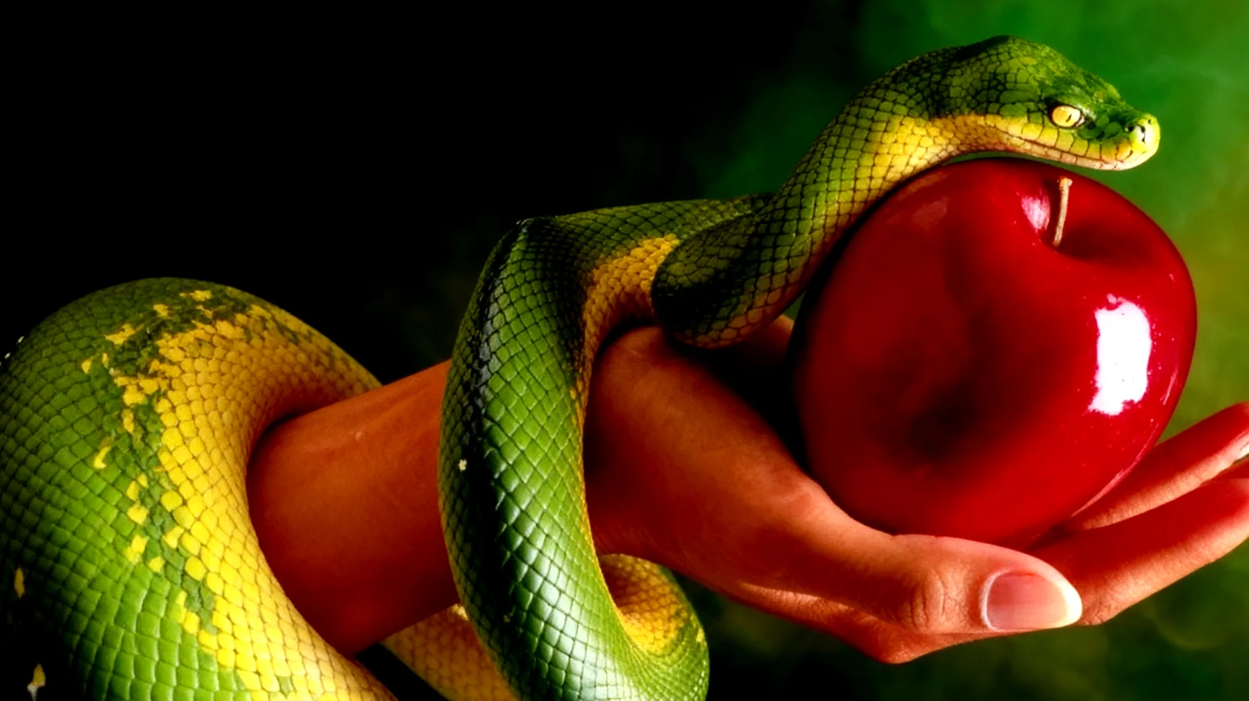 Forbidden Fruit2025-12-29T10:50:56.443Z"