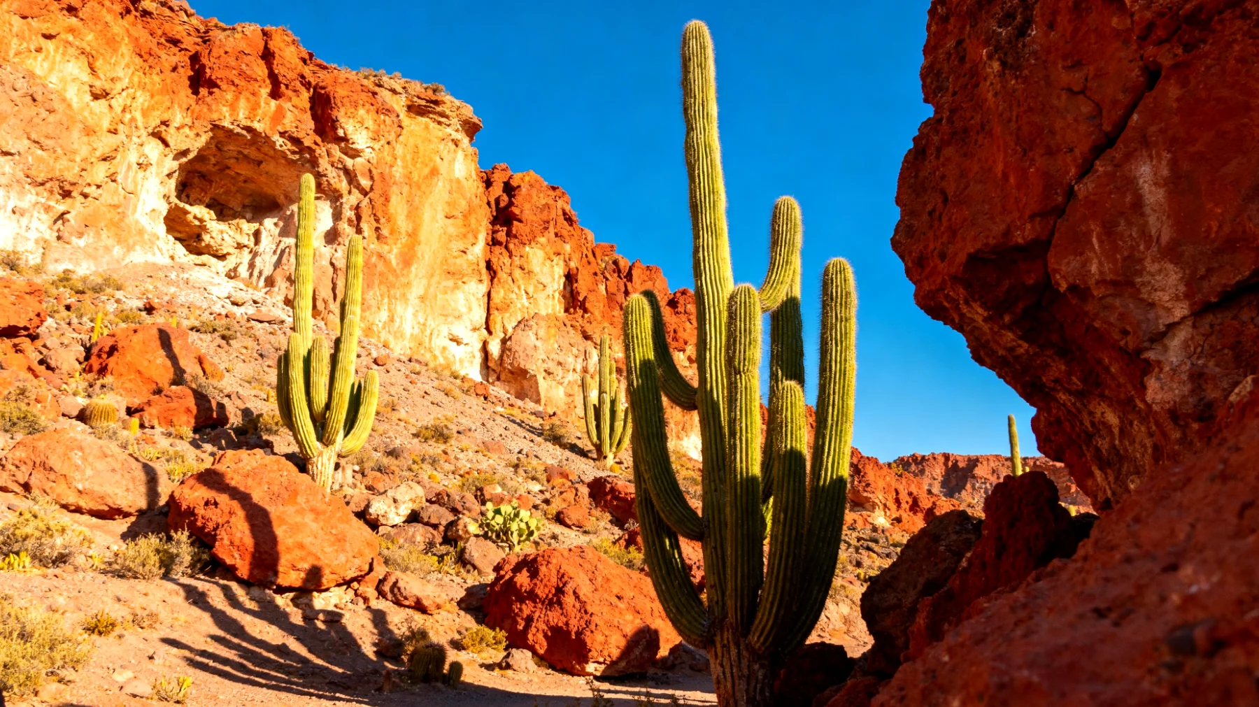 San Pedro de Atacama"