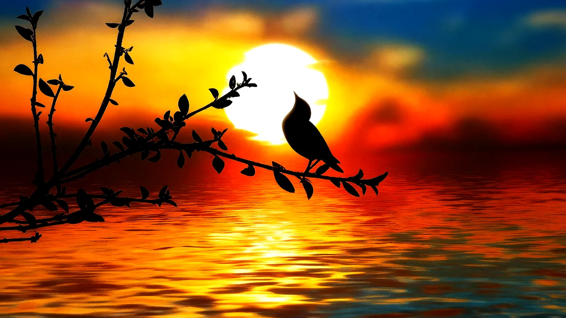 Beautiful 2026-01-04T10:32:09.454Z"