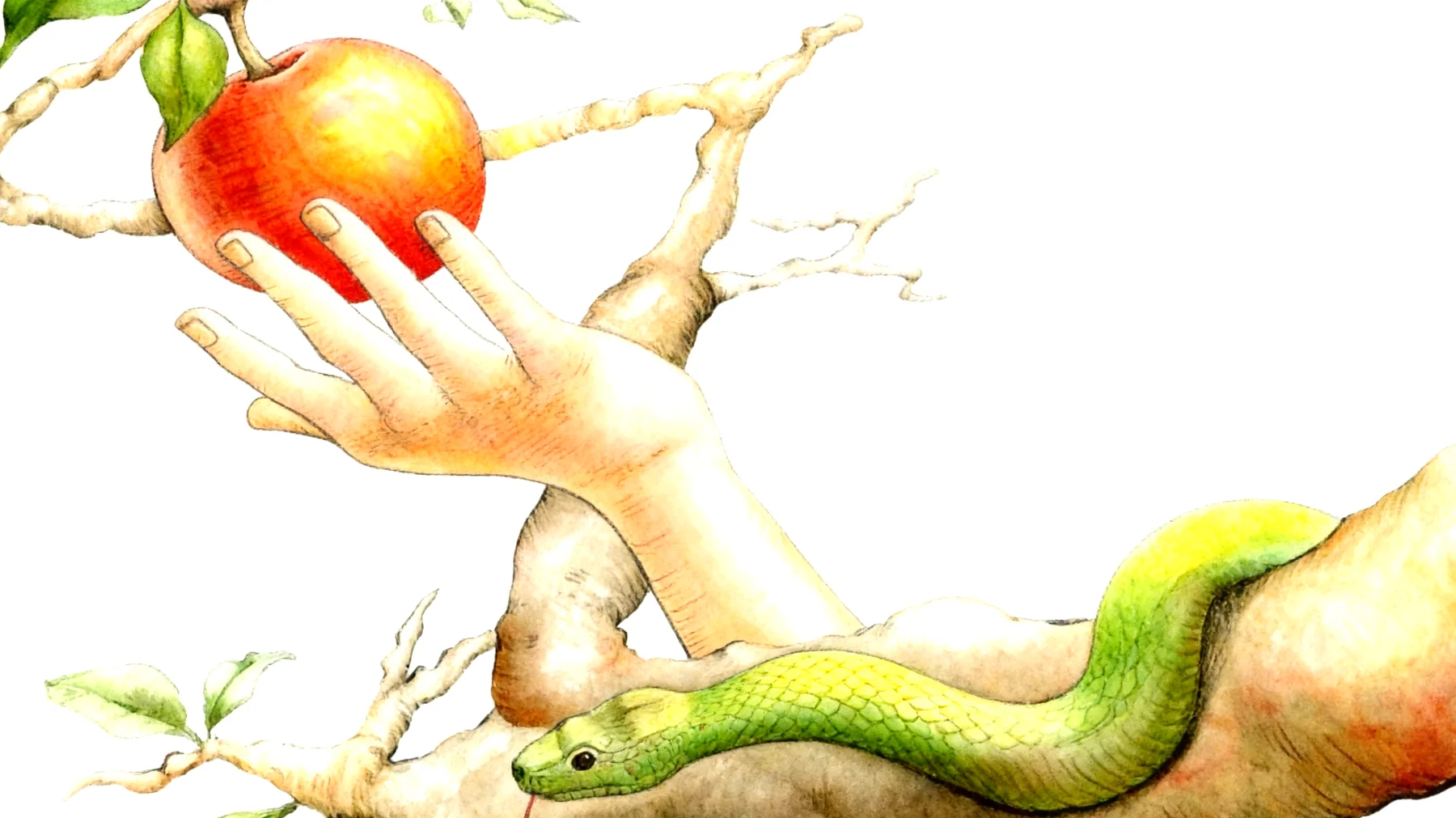 Forbidden Fruit2026-01-02T10:47:56.657Z"