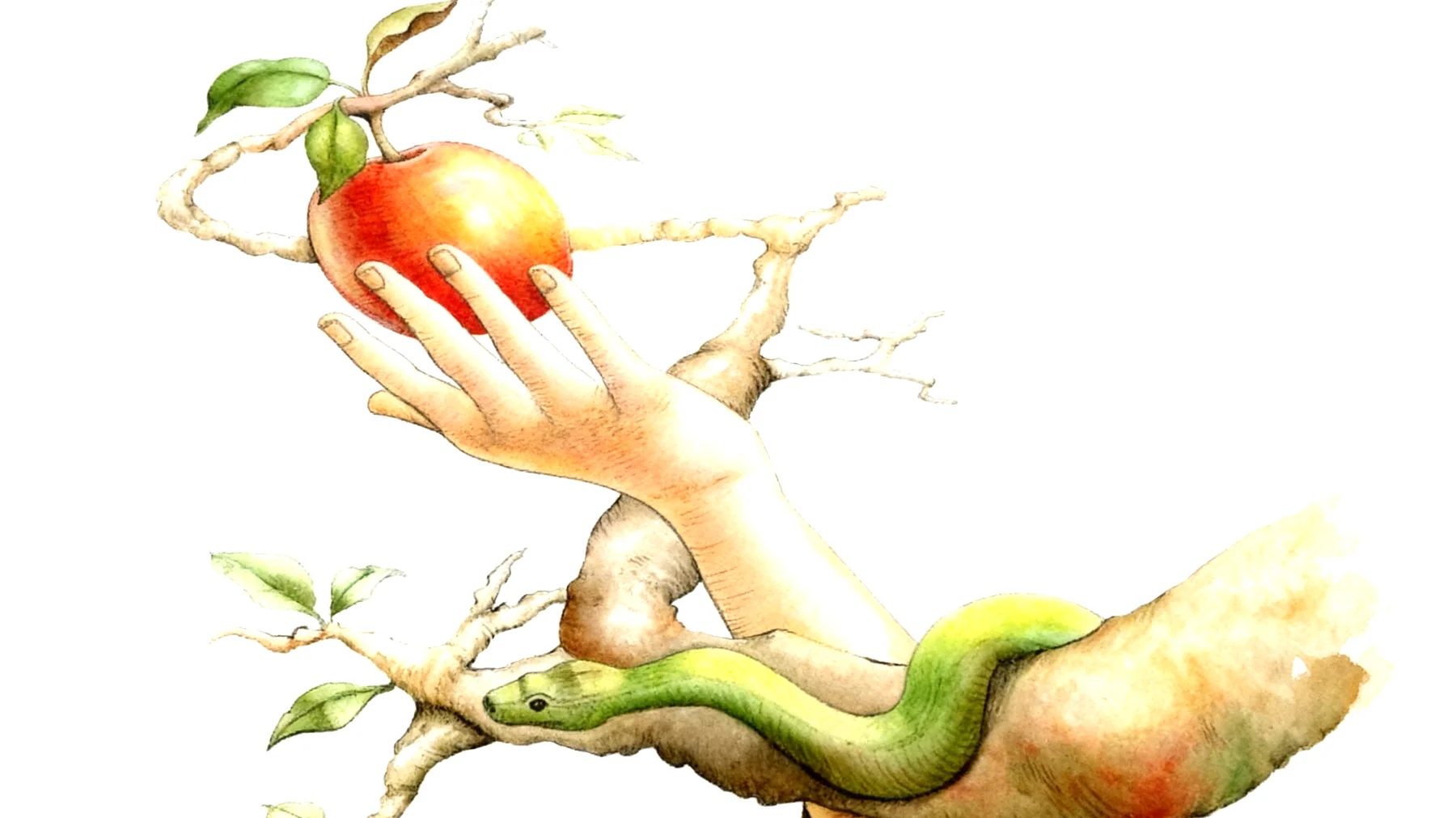 Forbidden Fruit2026-01-03T10:48:13.745Z"