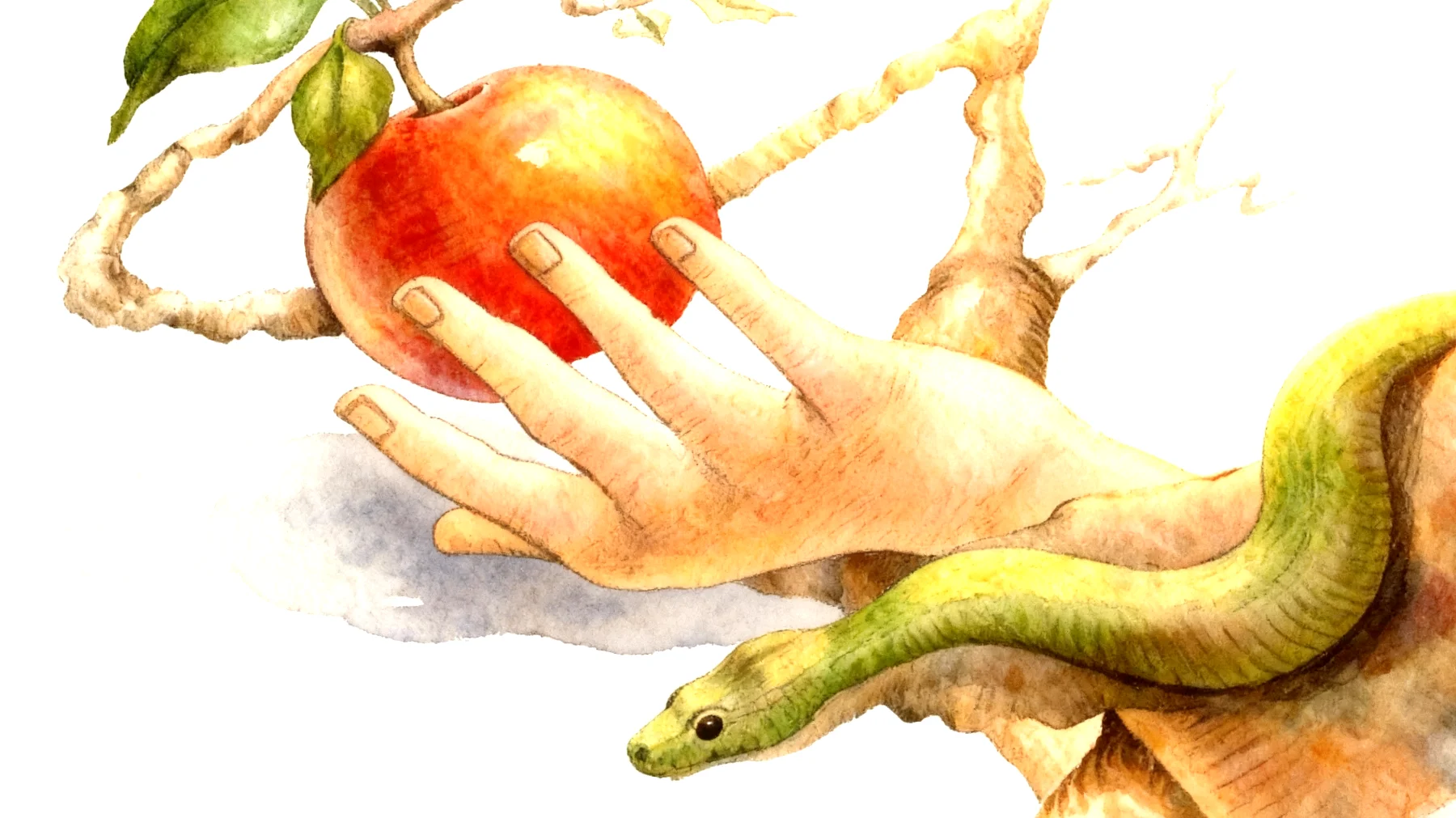 Forbidden Fruit2026-01-04T10:55:12.504Z"