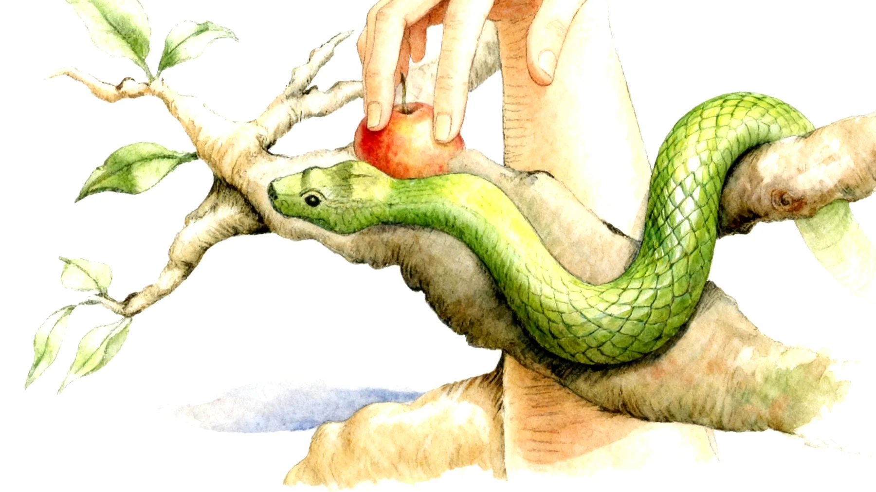 Forbidden Fruit2026-01-12T10:53:05.139Z"