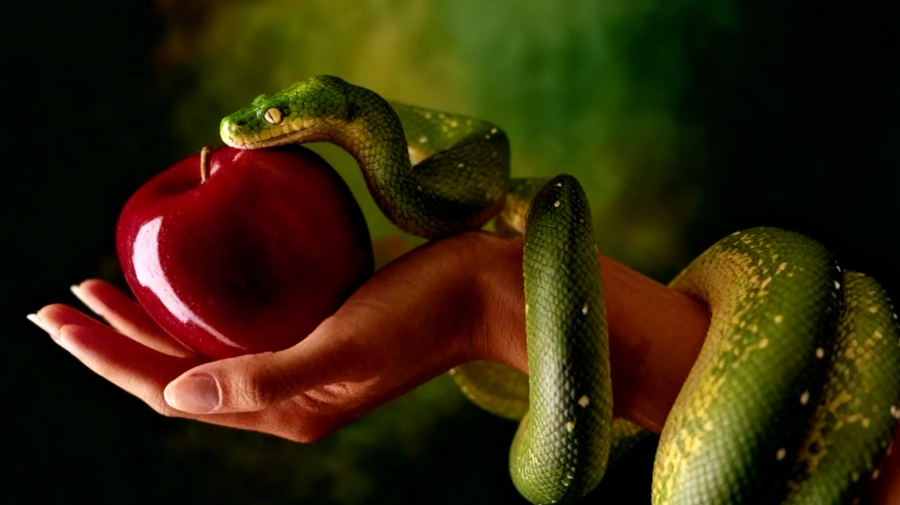 Forbidden Fruit2026-01-16T10:48:22.915Z"