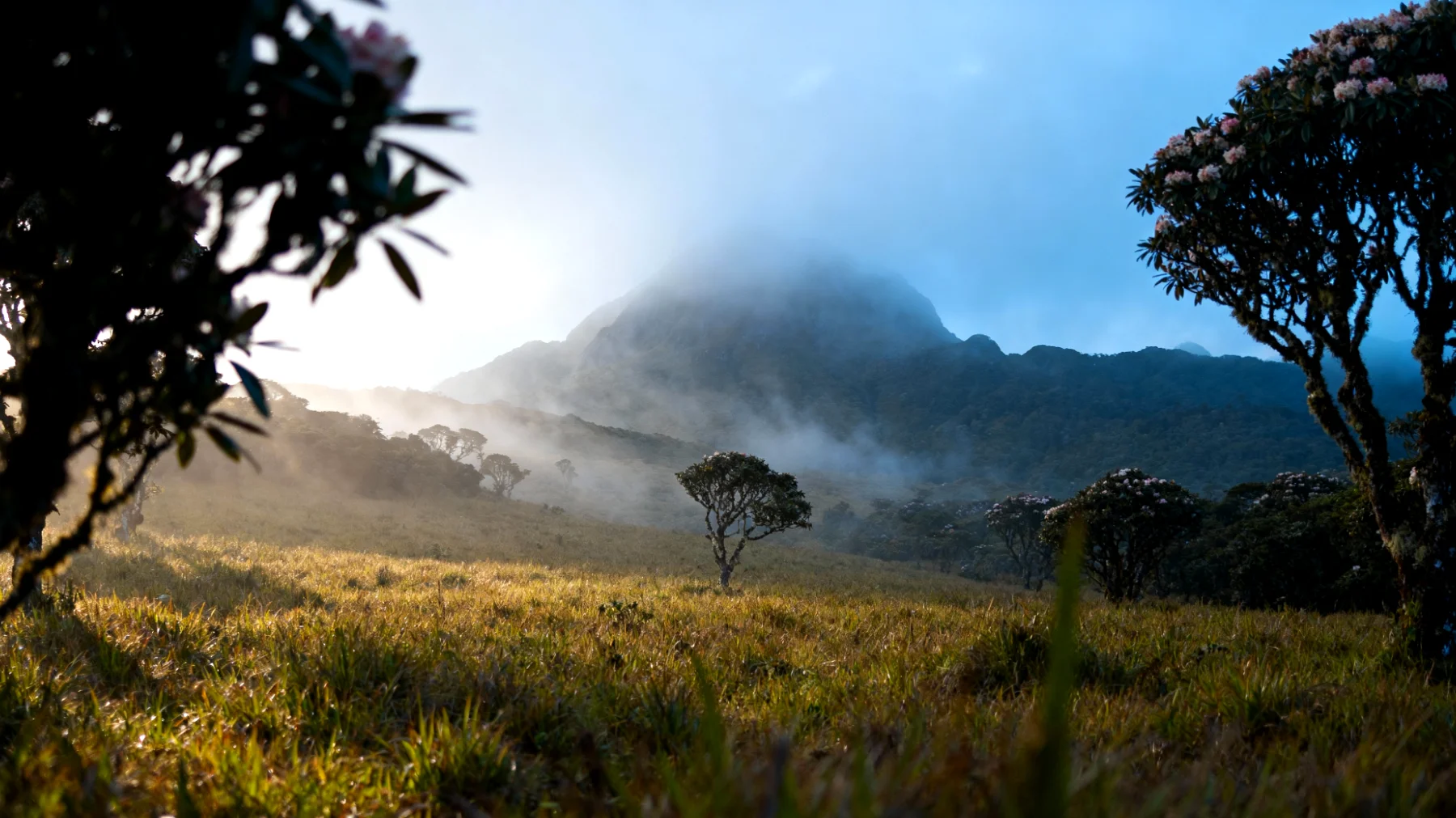 Parco Nazionale di Horton Plains"
